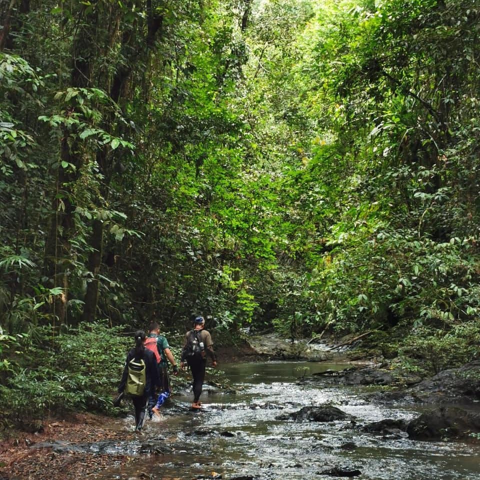 http://explorebrunei.gov.bn/TSP%20Images/Ulu%20Temburong%20National%20Trip.jpg