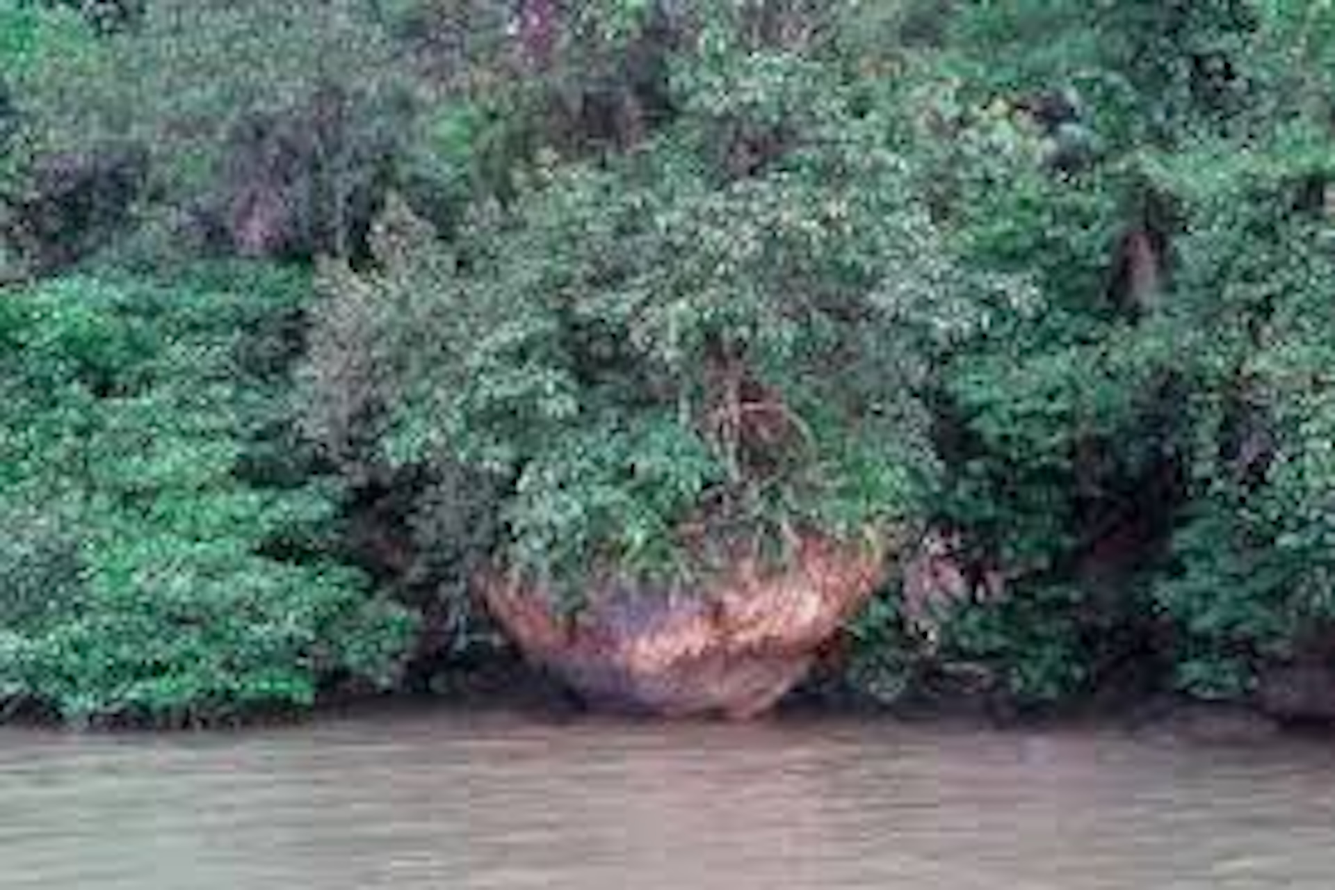 Batu Gasing Awang Semaun
