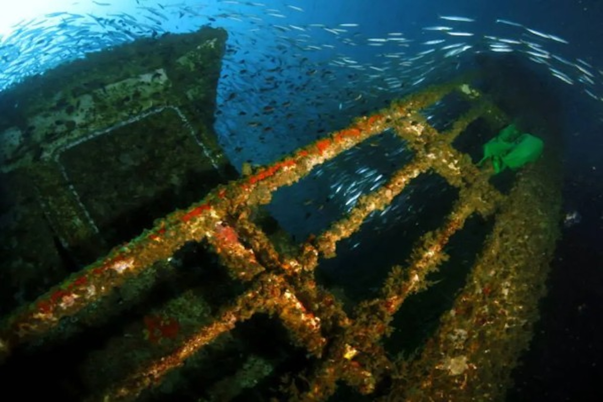 Diving Site- Australian Wreck